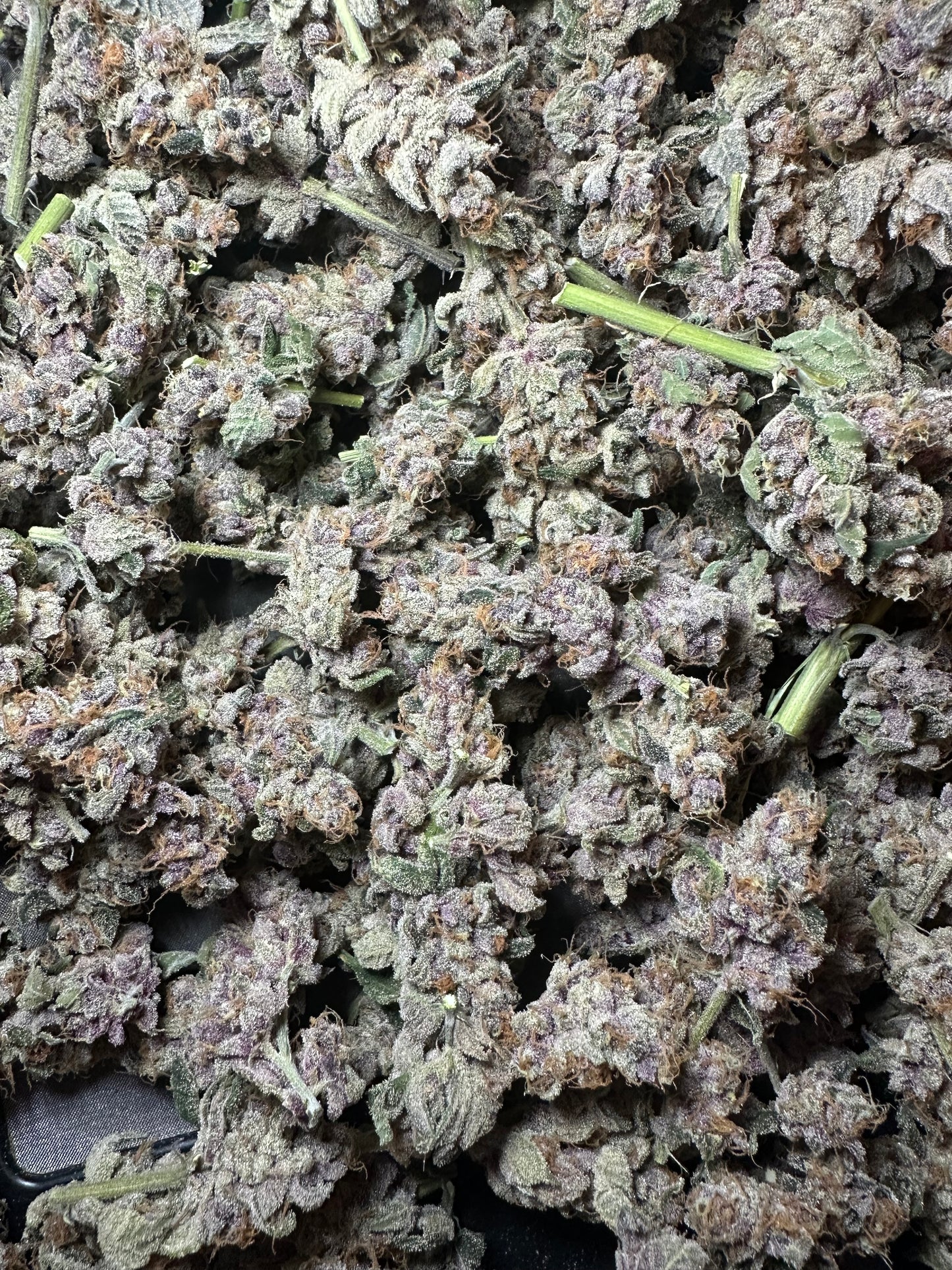 Northern Nights 3.5g